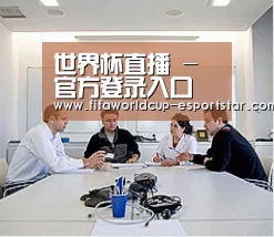 研发能力标题二
