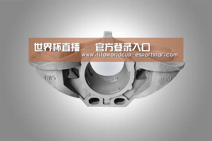 产品展示标题三