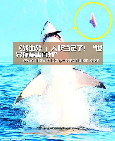 《战地5》:人妖当定了!“世界杯赛事直播”(图4) 世界杯赛事直播