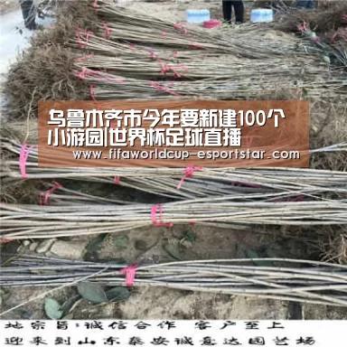 乌鲁木齐市今年要新建100个小游园|世界杯足球直播(图2) 世界杯足球直播
